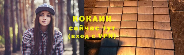 ALPHA-PVP Няндома