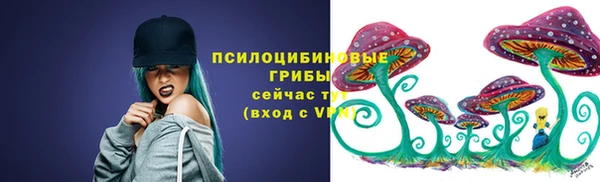 ALPHA-PVP Няндома