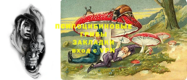 хмурый Нягань