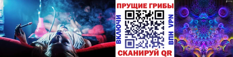 мориарти состав наркошоп omg как зайти Энгельс Псилоцибиновые грибы GOLDEN TEACHER